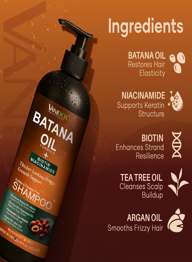 VANIDOX Batana Oil Shampoo – Biotin & Niacinamide Infused – Supports Thicker-Looking Hair – Moisturizing & Nourishing for Thinning Hair and Scalp Care – Sulfate-Free, 16 fl oz - Image 4